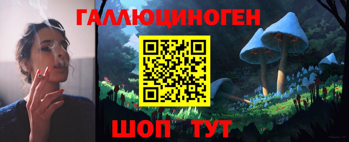 Слободской  Галлюциногенные грибы Psilocybine cubensis  Вход с VPN 
