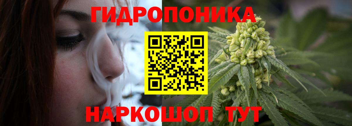 Шишки марихуана конопля Слободской